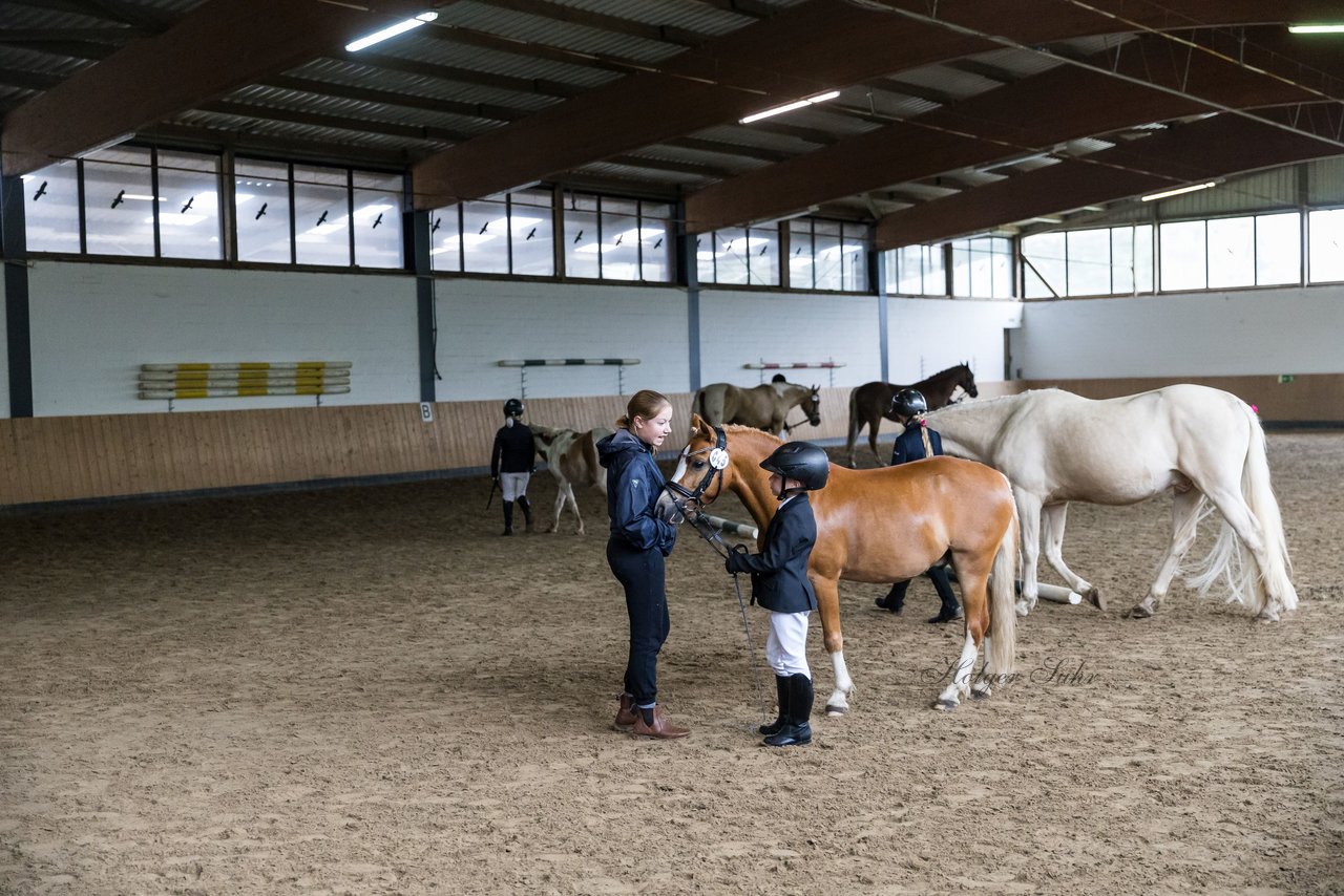 Bild 3 - Pony Akademie Turnier